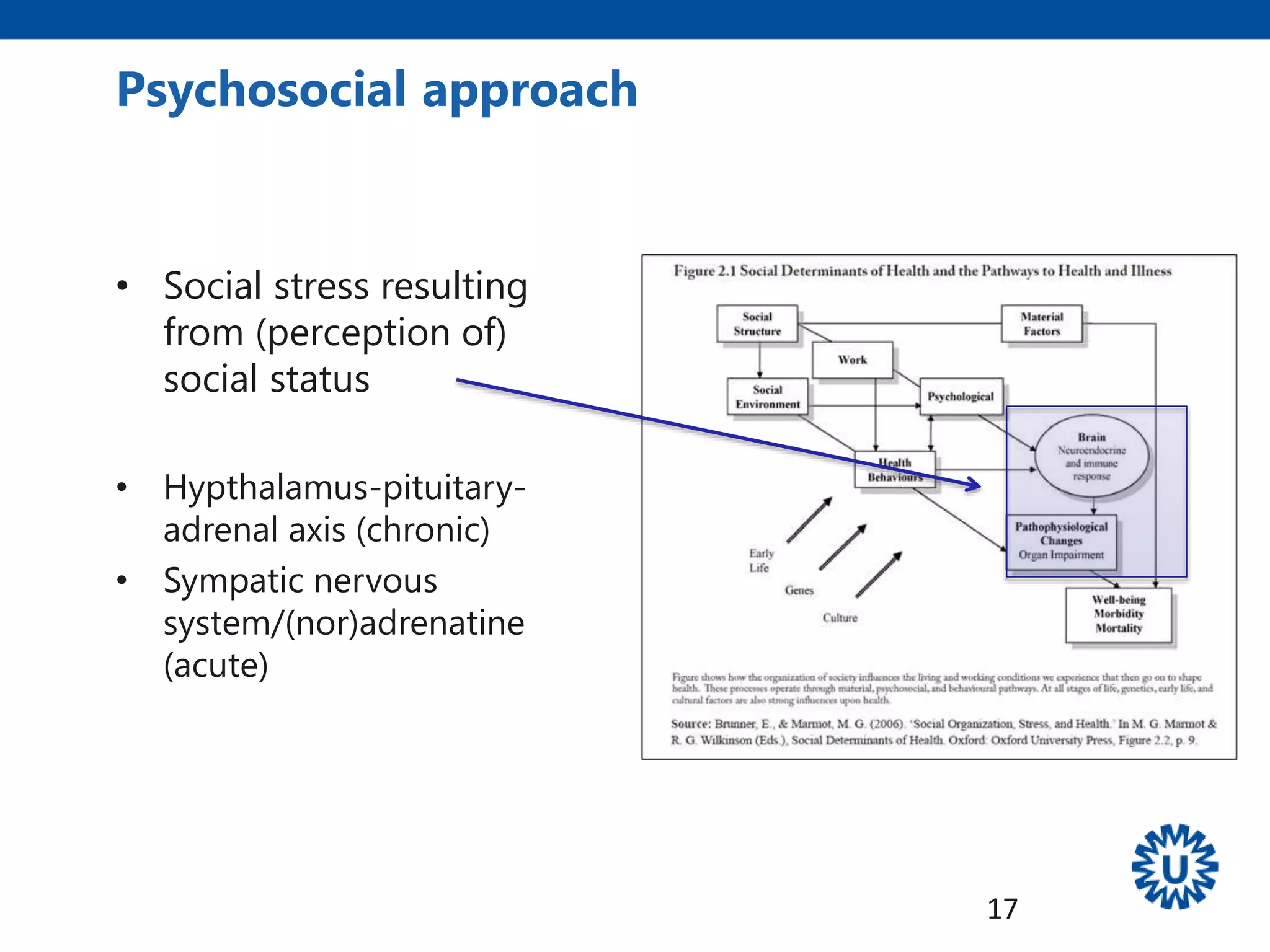 • Social stress resulting
from (perception of)
social status
• Hypthalamus-pituitary-
adrenal axis (chronic)
• Sympatic nervous
system/(nor)adrenatine
(acute)
Psychosocial approach
17
 