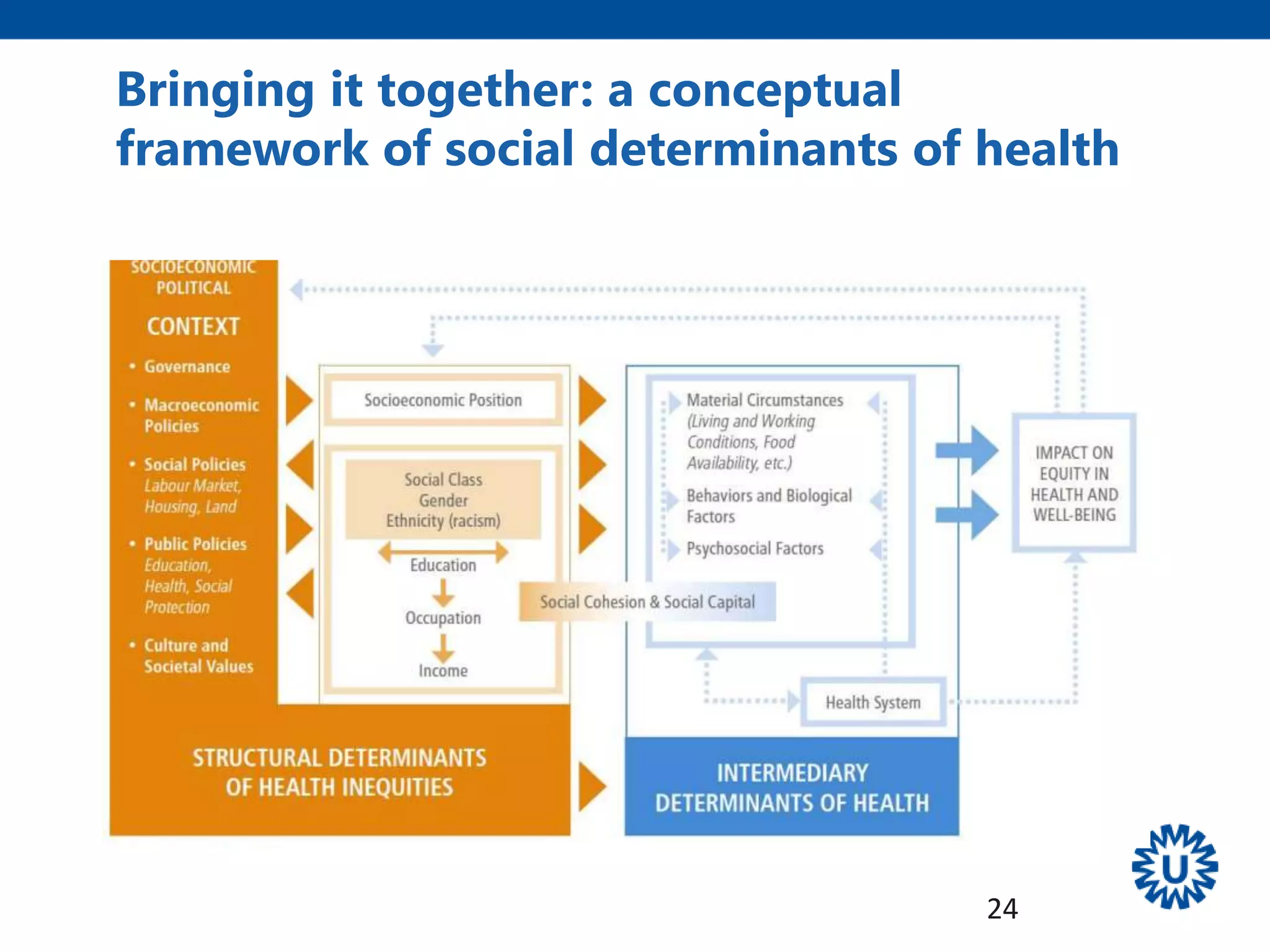 Bringing it together: a conceptual
framework of social determinants of health
24
 
