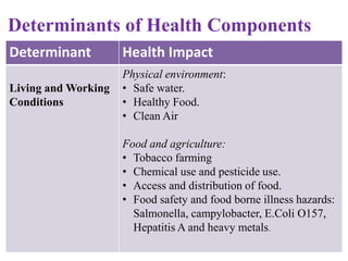 Determinants of Health Components
Determinant

Health Impact

Social and community
Network

Better physical and psychologi...