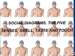 SOCIAL DIAGRAMS. THE FIVE 
SENSES: SMELL, TASTE AND TOUCH 
 