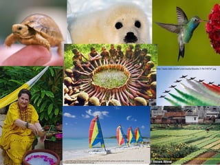 Biodiversity, adaptating to environmen
                                                                                                                                              http://static.hdw.eweb4.com/media/thumbs/1/56/550747.jpg




  Culture, adaptatingthe environmen
        http://imgc.artprintimages.com/images/art-print/hellier-gavin-colourful-sailboats-on-jolly-beach-antigua-leeward-islands-west-
        indies-caribbean_i-G-38-3830-XJ6YF00Z.jpg
                                                                                                                                         http://boscovstravel.files.wordpress.com/2011/05/vietnamfarm-copyrig
 