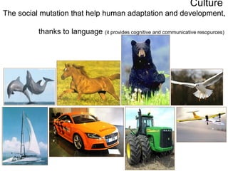 Culture
The social mutation that help human adaptation and development,

          thanks to language (it provides cognitive and communicative resopurces)
 