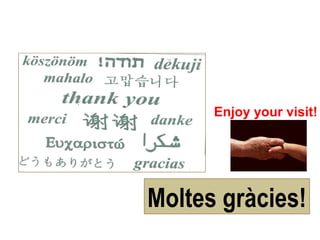 Enjoy your visit!




Moltes gràcies!
 