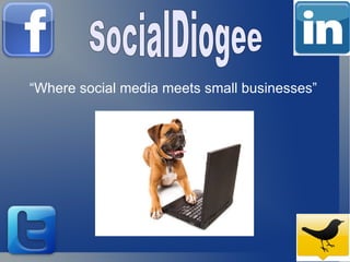 “Where social media meets small businesses” SocialDiogee   