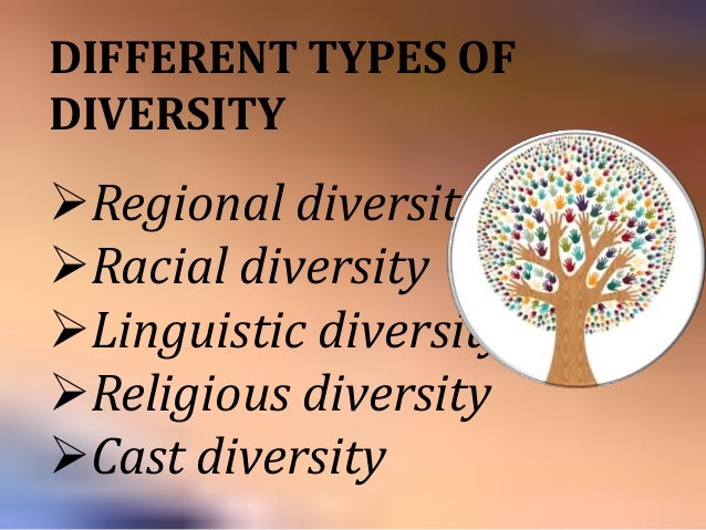 social diversity social diversity