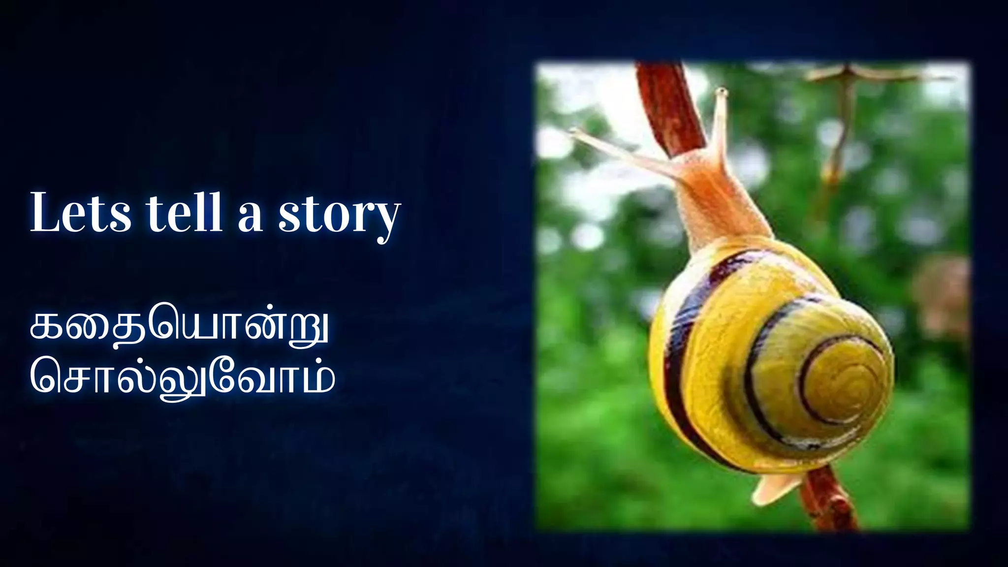 Lets tell a story
fijnahd;W
nrhy;YNthk;