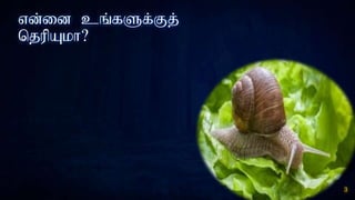 vd;id cq;fSf;Fj;
njupAkh?
3