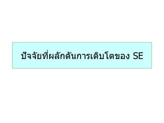 ปั จจัยทีผลักดันการเติบโตของ SE
         ่
 