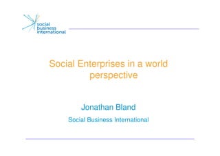 Social Enterprises in a world
         perspective


        Jonathan Bland
    Social Business International


                                    1
 