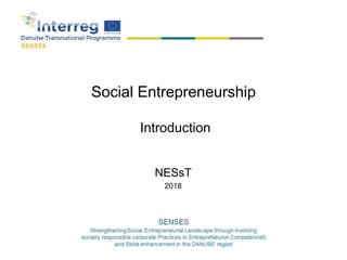 Social Entrepreneurship
Introduction
NESsT
2018
 