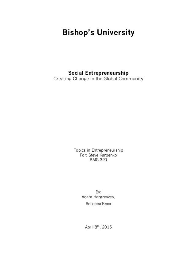 social entrepreneur research paper