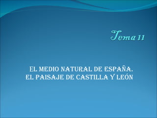 E l medio natural de España. El paisaje de Castilla y León 