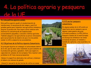 4. La política agraria y pesquera de la UE. 4.1 Una política agraria común. Esta política agraria ayudó a la modernización de instalaciones, la mecanización del campo y justificó grandes gastos para fomentar una agricultura intensiva y mejorar la producción. Para lograr estos cambios esta favoreció la concentración de explotaciones excesivamente pequeñas y concedió créditos agrícolas. También aseguró a los agricultores un precio interesante para sus productos de manera de que si no los podían vender la UE le compraría los excendentes. 4.2 Objetivos de la Política Agraria Comunitaria. Su principal objetivo es conseguir el autoconsumo dentro de la UE, que ha dado como resultado un gran aumento de la producción agrícola y ganadera, tanto que supera la capacidad de consumo de los europeos. Para resolver este problema la UE tiene nuevas propuestas: -Reducir la superficie dedicada a los cultivos y disminuir el número de cabezas de ganado. -Convertir una parte de las tierras de cultivo en zonas forestales o espacios de ocio. -Reducir los precios de garantía que paga la UE a los agricultores para acercarlos a los precios mundiales. 4.3 El sector pesquero comunitario. En algunos países de la UE existe un importante sector pesquero que en algunos casos genera una gran actividad económica. La PPC( Política Pesquera Común) de la unión Europea se encarga de establecer las zonas exclusivas de pesca, el volumen y tamaño de capturas, y los acuerdos y la firma de tratados con Estados que se encuentran fuera de la UE. 