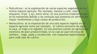  Policultivos : es la explotación de varias especies vegetales en un
mismo espacio agrícola. Por ejemplo, banano y café, maíz y
ahuyama, frijol y ají, entre otras. Es una practica tradicional que
se ha mantenido debido a las ventajas que presenta en termino de
mayor rendimiento y bajo costos de producción.
 Monocultivo: es la explotación de una sola especie vegetal en un
espacio agrícola como por ejemplo, el cultivo exclusivo de papa,
la soya, el trigo o el algodón. Es una practica común en agricultura
extensiva de gran productividad, en la cual se usan técnicas de
siembra , riego, poda y recolección con maquinas especializada
para cada tipo de cultivo.
 