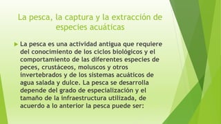 La pesca, la captura y la extracción de
especies acuáticas
 La pesca es una actividad antigua que requiere
del conocimiento de los ciclos biológicos y el
comportamiento de las diferentes especies de
peces, crustáceos, moluscos y otros
invertebrados y de los sistemas acuáticos de
agua salada y dulce. La pesca se desarrolla
depende del grado de especialización y el
tamaño de la infraestructura utilizada, de
acuerdo a lo anterior la pesca puede ser:
 