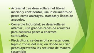  Artesanal : se desarrolla en el litoral
marino y continental, usa instrumento de
pesca como atarrayas, trampas y líneas de
anzuelos.
 Comercio Industrial: se desarrolla en
altamar , usa grandes redes de arrastres
para capturas peces a enormes
cantidades.
 Piscicultura: se desarrolla en estanques,
lagos o zonas del mar, en donde se crían
peces Aprovecha los recursos de manera
sostenible
 