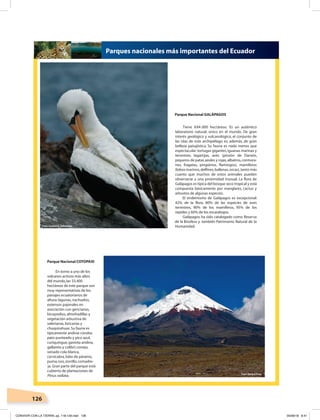 126
Foto: Gordon E. Robertson
Foto: Gerard Prins
CONVIVIR CON LA TIERRA; pp. 118-129.indd 126 05/06/18 8:41
 