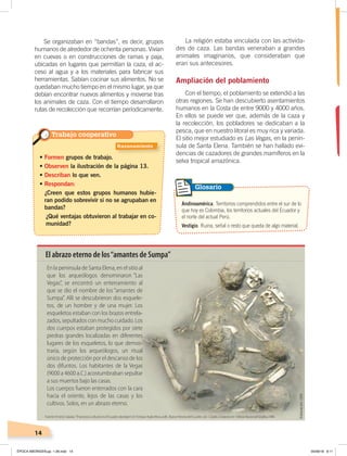 14
Se organizaban en “bandas”, es decir, grupos
humanos de alrededor de ochenta personas. Vivían
en cuevas o en construcciones de ramas y paja,
ubicadas en lugares que permitían la caza, el ac-
ceso al agua y a los materiales para fabricar sus
herramientas. Sabían cocinar sus alimentos. No se
quedaban mucho tiempo en el mismo lugar, ya que
debían encontrar nuevos alimentos y moverse tras
los animales de caza. Con el tiempo desarrollaron
rutas de recolección que recorrían períodicamente.
La religión estaba vinculada con las activida-
des de caza. Las bandas veneraban a grandes
animales imaginarios, que consideraban que
eran sus antecesores.
Ampliación del poblamiento
Con el tiempo, el poblamiento se extendió a las
otras regiones. Se han descubierto asentamientos
humanos en la Costa de entre 9000 y 4000 años.
En ellos se puede ver que, además de la caza y
la recolección, los pobladores se dedicaban a la
pesca, que en nuestro litoral es muy rica y variada.
El sitio mejor estudiado es Las Vegas, en la penín-
sula de Santa Elena. También se han hallado evi-
dencias de cazadores de grandes mamíferos en la
selva tropical amazónica.
En la peninsula de Santa Elena, en el sitio al
que los arqueólogos denominaron “Las
Vegas”, se encontró un enterramiento al
que se dio el nombre de los “amantes de
Sumpa”. Allí se descubrieron dos esquele-
tos, de un hombre y de una mujer. Los
esqueletos estaban con los brazos entrela-
zados, sepultados con mucho cuidado. Los
dos cuerpos estaban protegidos por siete
piedras grandes localizadas en diferentes
lugares de los esqueletos, lo que demos-
traría, según los arqueólogos, un ritual
único de protección por el descanso de los
dos difuntos. Los habitantes de la Vegas
(9000 a 4600 a.C.) acostumbraban sepultar
a sus muertos bajo las casas.
Los cuerpos fueron enterrados con la cara
hacia el oriente, lejos de las casas y los
cultivos. Solos, en un abrazo eterno.
El abrazo eterno de los“amantes de Sumpa”
• Formen grupos de trabajo.
• Observen la ilustración de la página 13.
• Describan lo que ven.
• Respondan:
¿Creen que estos grupos humanos hubie-
ran podido sobrevivir si no se agrupaban en
bandas?
¿Qué ventajas obtuvieron al trabajar en co-
munidad?
Glosario
Andinoamérica. Territorios comprendidos entre el sur de lo
que hoy es Colombia, los territorios actuales del Ecuador y
el norte del actual Perú.
Vestigio. Ruina, señal o resto que queda de algo material.
Fuente: Ernesto Salazar, “El proceso cultural en el Ecuador aborigen”,en Enrique Ayala Mora, edit., NuevaHistoriadelEcuador, vol. 1, Quito, Corporación Editora Nacional/Grijalbo,1989.
Elaboración:CEN
Trabajo cooperativo
Razonamiento
ÉPOCA ABORIGEN;pp. 1-28.indd 14 05/06/18 8:11
 