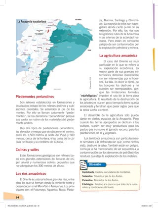 94
za, Morona, Santiago y Chinchi-
pe. La mayoría de ellos son nave-
gables desde cierto punto de su
extensión. Por ello, los ríos son
las grandes rutas de la Amazonía
y las arterias de la actividad hu-
mana. Pero están en constante
peligro de ser contaminados por
la explotación petrolera y minera.
La agricultura amazónica
El caso del Oriente es muy
particular en lo que se refiere a
su explotación económica. La
mayor parte de sus grandes ex-
tensiones deberían mantenerse
sin ser intervenidas por el hom-
bre. La tala, es decir el corte, de
los bosques los destruye y no
pueden ser reemplazados, por-
que las limitaciones llamadas
“edafológicas” impiden el uso de la tierra para
la agricultura. El resultado de la destrucción de
los árboles es que en poco tiempo la tierra queda
erosionada y tendrían que pasar siglos para que
la selva vuelva a crecer.
El desarrollo de la agricultura solo puede
darse en ciertos espacios de la Amazonía. Pero
cuando las tierras apropiadas se dedican a los
cultivos, suelen ser muy productivas para los
pastos que consume el ganado vacuno, para las
plantaciones de té y vegetales.
Los territorios amazónicos son particularmen-
te sensibles a la deforestación que, como hemos
visto, destruye la selva. También están en peligro,
como ya se ha mencionado, de ser expuestos a la
contaminación por los derrames de petróleo y los
residuos que deja la explotación de los metales.
Piedemontes periandinos
Son relieves establecidos en formaciones y
localizados debajo de los relieves andinos y sub-
andinos orientales. Se extienden al pie de los
montes. Por ello se llaman justamente “piede-
montes”. Se los denomina “periandinos” porque
sus suelos se nutren de los materiales del piede-
monte andino.
Hay dos tipos de piedemontes periandinos,
los elevados o mesas que se ubican en el centro,
entre los 1.500 metros al oeste del Puyo y 500
metros, cerca de la frontera, y los bajos de la cú-
pula del Napo y la cordillera de Cutucú.
Colinas y valles
Estas formaciones geológicas son relieves ba-
jos con grandes extensiones de llanuras de ori-
gen aluvial y numerosas colinas pequeñas que
no sobrepasan los 300 metros de altura.
Los ríos amazónicos
El Oriente ecuatoriano tiene grandes ríos, entre
ellos los que se forman desde la vertiente norte y
desembocan en el Marañón o Amazonas. Los prin-
cipales son: el Putumayo, Aguarico, Napo, Pasta-
Contrafuerte. Cadena secundaria de montañas.
Subandino. Situado al pie de los Andes.
Periandino. Alrededor de los Andes.
Edafológica. Relativo a la ciencia que trata de la natu-
raleza y condiciones del suelo.
Glosario
La Amazonía ecuatoriana
Elaboración:CEN
RELIEVES DEL ECUADOR; pp.82-98 .indd 94 05/06/18 8:34
 