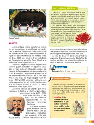 DISTRIBUCIÓN GRATUITA ­ PROHIBIDA SU REPRODUCCIÓN
17
Las conchas y el clima
La concha “mullo” o spondylus, que se halla
en la Costa ecuatoriana, especialmente en Ma-
nabí, era considerada un alimento de los dioses
y se la conservaba como objeto sagrado y deco-
rativo muy valioso. Se la encuentra en tumbas
de personajes importantes, hasta en lejanas tie-
rras de la actual Bolivia.
Era apreciada por su belleza, pero la spondylus
tenía también una utilidad práctica. En nuestras
costassejuntanlacorrientefríadeHumboldtylaca-
liente de El Niño. Cuando esta última viene con
más fuerza, ese año hay más lluvias y
los inviernos duran más. Los sacer-
dotes o chamanes, al observar la
profundidad en la que aparecía
ese año la spondylus, podían pre-
decir el clima.Valdivia
La más antigua cultura agroalfarera hallada
en las excavaciones arqueológicas en nuestro
país es Valdivia. Se denominó así porque uno de
los primeros sitios que se descubrió está en el
lugar que actualmente lleva ese nombre. Flore-
ció desde 3500 años antes de Cristo en la Costa
sur (provincias de Manabí y Santa Elena), y se
extendió a varios lugares del litoral.
En Valdivia, la gente cultivaba las plantas en
terrenos que se inundaban con agua que servía
para el riego. Vivían en aldeas con casas de ba-
hareque de forma ovalada, de aproximadamente
3,5 x 4,5 metros. La aldea más grande que se
ha descubierto está localizada en el sitio Real
Alto. En su etapa de mayor apogeo vivían allí
entre 1.500 y 3.000 personas. Había una com-
pleja organización social, donde los chamanes
eran importantes. Usaban el “mullo”, la concha
spondylus, como objeto ritual.
La cultura Valdivia se extendió por varios
lugares de la Costa y la isla Puná por más de
dos mil años, entre 4500 y 2000
años antes de Cristo. Es fa-
mosa por su cerámica,
especialmente por las
figurinas femeninas,
las Venus.
Los restos arqueoló-
gicos muestran que en
Valdivia había una es-
pecialización productiva,
con separación entre pes-
cadores y agricultores y otros
grupos que explotaban diferentes áreas del ambiente.
En etapas más avanzadas, los pueblos tuvieron un in-
tercambio permanente de productos entre ellos.
Al final del desarrollo de la cultura Valdivia,
surgió otra de gran importancia: Machalilla. En
muchos sentidos, fue una continuación de las
técnicas y estilos cerámicos de Valdivia.
Vivienda Valdivia Foto: Museo BCE
Venus de Valdivia
Trabajar con la tierra demanda un esfuerzo físi-
co muy intenso. También requiere de personas
cuidadosas que estén muy pendientes de los
ciclos de la agricultura. Una planta no crece
si no se la cuida, recibe agua o abono en el
momento indicado.
Imagina: Si las
primeras personas
dedicadas a la agri-
cultura fueron mu-
jeres, ¿cuáles serían
las características de
estas mujeres?
Bahareque. Pared de caña y barro.
Plantea hipótesis
Glosario
 