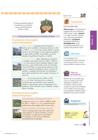 %ORTXH

DISTRIBUCIÓNGRATUITA-PROHIBIDALAVENTADISTRIBUCIÓNGRATUITA-PROHIBIDALAVENTA
Ocupa las estribaciones de la cordillera, entre
los 300 y 1 500 m. s. n. m. La mayoría de las
poblaciones de la región están en esta zona.
Tiene un paisaje plano que está cubierto de
selva tropical. En este ecosistema, el suelo
es húmedo y no apto para la agricultura.
Su subsuelo es muy rico en minerales,
principalmente en petróleo.
Llanura amazónica o de bosques aluviales.
Vamos a la página
19 del cuaderno
de trabajo.
treinta y siete
Bosque nublado. Es propio de las montañas y
declives de la cordillera. Se localiza entre los 1 200
y 2 000 m. s. n. m. En él hay mucha neblina y fuertes
lloviznas. En este bosque, se encuentran el quishuar
y el aguacatillo; también, el armadillo, el oso de
anteojos, los gallitos de la peña y el colibrí.
Valles interandinos. Están rodeados por montañas
y cordilleras que están entre los 2 000 y 3 000 m. s.
n. m. Son zonas de clima templado; algunos valles
son secos, como el del Chota, otros son húmedos,
como el de Patate. La fauna que se observa en esta
zona se compone de jilgueros, lobos y mirlos. Los
pueblos y ciudades han utilizado sus alrededores
para cultivar productos como la papa, la quinua, el
maíz, etc.
Páramo. Se localiza entre los 3 000 y 4 000
m. s. n. m. Tiene clima muy frío y su ﬂora se
caracteriza por ser resistente a esta condición
climática. Hay plantas como la chuquiragua y los
frailejones. Tiene animales como cóndores, conejos,
lobos y venados.
Zona subandina o de bosques de colinas.
Ecosistemas de la región
natural Interandina
Ecosistemas de la región
natural Amazónica
El bosque húmedo tropical
ecuatoriano es una de las
zonas más húmedas de
América Latina.
¿Cómo podemos diferenciar un ecosistema de otro?
%XHQ YLYLU
LHQFLDV 1DWXUDOHV
Observemos con atención las
imágenes de los ecosistemas
del Ecuador. Luego, vayamos
a un lugar cercano a nuestra
casa, que tenga abundante
vegetación, recojamos
tres plantas diferentes e
identifiquemos a qué
ecosistema pertenecen y en
cuántos más podrían existir.
RQHFWpPRQRV
Un ecosistema es la
comunidad de seres vivos que
se relacionan entre sí, en un
mismo hábitat o entorno físico.
,GHDV FODYH
Muchos de los animales que
viven en nuestro país están
adaptados solamente a su
ecosistema. ¿Qué sucede
cuando los sacan de su hábitat
y los venden como mascotas
en las grandes ciudades? ¿Qué
podemos hacer para evitarlo?
7DOOHU GH
SDUWLFLSDFLyQ
www.biologia.puce.edu.ec
1DYHJXHPRV
,117683BLQGG    30
 