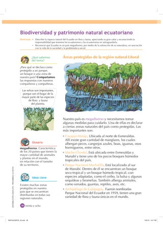 DISTRIBUCIÓNGRATUITA-PROHIBIDALAVENTADISTRIBUCIÓNGRATUITA-PROHIBIDALAVENTA
Áreas protegidas de la región natural Litoral
Nuestro país es megadiverso y necesitamos tomar
algunas medidas para cuidarlo. Una de ellas es declarar
a ciertas zonas naturales del país como protegidas. Las
más importantes son:
Ȼ Cayapas-Mataje. Ubicada al norte de Esmeraldas.
Allí existe gran cantidad de manglares, los cuales
albergan peces, cangrejos azules, boas, iguanas, osos
hormigueros, entre otros.
Ȼ Mache-Chindul. Está ubicada entre Esmeraldas y
Manabí y tiene uno de los pocos bosques húmedos
tropicales del país.
Ȼ Parque Nacional Machalilla. Está localizado al sur
de Manabí. Dentro de él se encuentran un bosque
seco tropical y un bosque húmedo tropical, con
especies adaptadas, como el ceibo, la balsa y algunas
orquídeas y bromelias. También alberga animales,
como venados, guantas, reptiles, aves, etc.
Ȼ Archipiélago de Galápagos. Fueron nombradas
Parque Nacional del Ecuador en 1959, tienen una gran
variedad de ﬂora y fauna únicas en el mundo.
treinta y ocho
megadiverso. Característica
de los 20 países que tienen la
mayor cantidad de animales
y plantas en el mundo,
en relación con el tamaño
de su territorio.
¿Para qué se declara como
protegido a un parque,
un bosque o una zona de
nuestro país? Compartamos
las respuestas con nuestros
compañeros y compañeras.
Existen muchas zonas
protegidas en nuestro
país que se encuentran
distribuidas en todas sus
regiones naturales.
%LRGLYHUVLGDG  SDWULPRQLR QDWXUDO HFXDWRULDQR
Las selvas son importantes,
porque son el hogar de la
mayor parte de las especies
de ﬂora y fauna
del planeta.
'HVWUH]DV Ȼ Describir la riqueza natural del Ecuador en ﬂora y fauna, apreciando su gran valor y reconociendo la
responsabilidad que tenemos los ecuatorianos y las ecuatorianas en salvaguardarla.
Ȼ Reconocer que Ecuador es un país megadiverso, por medio de la valoración de su naturaleza, en asociación
con la vida de la sociedad y la problemática social.
¢4Xp VDEHPRV
GHO WHPD
*ORVDULR
,GHDV FODYH
,117683BLQGG    30
 