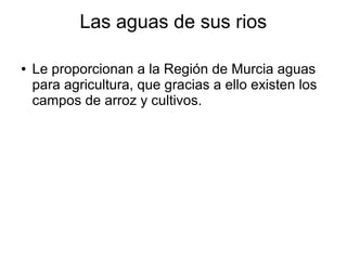 Las aguas de sus rios
●

Le proporcionan a la Región de Murcia aguas
para agricultura, que gracias a ello existen los
campos de arroz y cultivos.

 