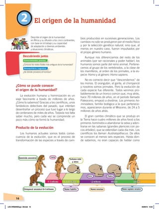16
¿Cómo se puede conocer
el origen de la humanidad?
La evolución humana u hominización es un
viaje fascinante a través de millones de años.
¿Cómo lo sabemos? Gracias a los científicos, unos
fantásticos detectives del pasado, que intentan
desentrañar un proceso que tuvo lugar a lo largo
de centenares de miles de años. Todavía nos falta
saber mucho, pero cada vez se comprende un
poco más cómo se formó la humanidad.
Producto de la evolución
Los humanos actuales somos todos conse-
cuencia de la evolución, que es el proceso de
transformación de las especies a través de cam-
bios producidos en sucesivas generaciones. Los
cambios no solo se produjeron por el medio físico
y por la selección genética natural, sino que, al
menos en nuestro caso, fueron impulsados por
el propio género humano.
Aunque nos diferenciamos del resto de los
animales (por ser racionales y poder hablar), los
humanos somos parte del reino animal. Pertene-
cemos al grupo de los vertebrados, a la clase de
los mamíferos, al orden de los primates, a la es-
pecie Homo y al género Homo sapiens.
No es correcto decir que “descendemos” de
los monos. El orangután, el gorila, el chimpancé
y nosotros somos primates. Pero la evolución de
cada especie fue diferente. Todos venimos pro-
bablemente de un tronco común que, muy atrás,
hace 70 millones de años, en el período llamado
Paleoceno, empezó a dividirse. Los primeros ho-
minoideos, familia biológica a la que pertenece-
mos, aparecieron durante el Mioceno, de 24 a 5
millones de años atrás.
El gran cambio climático que se produjo en
la Tierra hace cuatro millones de años forzó a los
primeros homínidos a abandonar la selva y aden-
trarse en las sabanas (grandes planicies con po-
cos árboles), que se extendían cada día más. Los
científicos los llaman Australopithecus. De ellos
se conocen al menos seis especies. Hasta don-
de sabemos, no eran capaces de hablar como
2 El origen de la humanidad
Homínido ancestral Turkana este
y otros
Java Pekín
Homo habilis Homo erectus Homo sapiens arcaico
Lucy
Chimpancé ancestral 8-4 millones
Describir el origen de la humanidad
en África y su difusión a los cinco continentes,
con base en el trabajo y su capacidad
de adaptación a diversos ambientes
y situaciones climáticas.
¿Conoces los restos fósiles más antiguos de la humanidad?
¿De dónde proviene el hombre?
Descubriendo juntos
Conocimientos previos
Desequilibrio cognitivo
LOS ORÍGENES;pp.1-26.indd 16 05/06/18 10:04
 