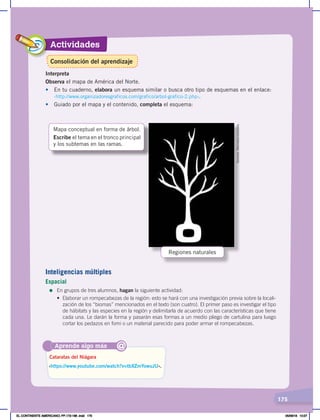 Actividades
175
Interpreta
Observa el mapa de América del Norte.
• En tu cuaderno, elabora un esquema similar o busca otro tipo de esquemas en el enlace:
‹http://www.organizadoresgraficos.com/grafico/arbol-grafico-2.php›.
• Guiado por el mapa y el contenido, completa el esquema:
Aprende algo más
‹https://www.youtube.com/watch?v=tbXZmYowuJU›.
Cataratas del Niágara
@
Sombras.
Wikimedia
Commons.
Mapa conceptual en forma de árbol.
Escribe el tema en el tronco principal
y los subtemas en las ramas.
Regiones naturales
Inteligencias múltiples
Espacial
=	En grupos de tres alumnos, hagan la siguiente actividad:
• Elaborar un rompecabezas de la región: esto se hará con una investigación previa sobre la locali-
zación de los “biomas” mencionados en el texto (son cuatro). El primer paso es investigar el tipo
de hábitats y las especies en la región y delimitarla de acuerdo con las características que tiene
cada una. Le darán la forma y pasarán esas formas a un medio pliego de cartulina para luego
cortar los pedazos en fomi o un material parecido para poder armar el rompecabezas.
Consolidación del aprendizaje
EL CONTINENTE AMERICANO; PP.172-186 .indd 175 05/06/18 10:27
 