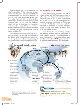 18
Aquella población creció durante más de cien
mil años, pero hace 74.000 años hubo un gran
cambio climático, producido por la erupción de
un supervolcán y una glaciación (aumento de
hielo en los polos y otras zonas del planeta).
Pudo haber significado el fin de la humanidad,
pero no: los que sobrevivieron se ingeniaron para
protegerse mejor del frío, cazar más eficiente-
mente, fabricar herramientas más complejas,
cuidar mejor de sus hijos. Ello les llevó a mejorar
dramáticamente su comunicación, desarrollando
su lenguaje. Fueron tan inteligentes que lograron
superar la catástrofe.
En cuatro millones de años de evolución, nues-
tros antepasados aprendieron a caminar sobre las
dos piernas, a fabricar herramientas, a competir
con los depredadores, a dominar su entorno y, al
final, sobrevivieron a una gran catástrofe natural.
La expansión por el mundo
Unos paleontólogos sostienen que fue el
Erectus el que salió del África hace un millón de
años y que sus descendientes se desarrollaron
en varias partes de Asia y Europa y convirtieron
en Sapiens. Otros dicen que eso es imposible y
que fue el Sapiens el que salió del África hace
menos de 100.000 años y reemplazó a todas las
especies de homínidos o humanos anteriores
que pudo haber en el planeta (esta es la teoría
en la que se basa el mapa).
En los últimos años, nuevos métodos permitie-
ron estudios genéticos del ADN mitocondrial de
las poblaciones humanas y sus resultados parecen
confirmar esta teoría y no la de los múltiples oríge-
nes. Descubrimientos de fósiles y mayor avance de
la genética permitirán dilucidar esta interrogante.
Estrecho de Bering
Siberia
Etiopía
África
Asia
central
Alaska
Istmo
de Panamá
Oceanía
200.000
años atrás
50.000
años atrás
20.000
años atrás
15.000-12.000 años atrás
70.000
50.000 años atrás
40.000 años atrás
30.000
años atrás
200.000
años atrás
50.000
años atrás
15.000-12.000 años atrás
70.000
50.000 años atrás
40.000 años atrás
30.000
años atrás
Las rutas de la migración humana
1
3
4
5
2
Ruta terrestre Ruta costera
Los científicos
concuerdan en que los
humanos actuales
surgieron de África.
Los datos genéticos
muestran que quizá
posteriormente
cruzaron el mar Rojo.
Datos genéticos señalan que un grupo de
humanos proveniente de Asia probablemente
pobló Europa entre 40 y 30 mil años atrás .
1
4
Objetos y fósiles indican
que los migrantes
siguieron la costa sur de
Asia y llegaron a Australia.
Los grupos de humanos
que poblaron Asia central,
40 mil años atrás,
posiblemente migraron
tomando rutas diversas.
2
3
Aún se debate sobre
cuándo los humanos
modernos cruzaron a
nuestro continente, pero
pruebas genéticas infieren
que fue hace unos 20 mil
años atrás, en el último
período glacial.
Probablemente lo hicieron
cruzando el estrecho de
Bering ubicado en el
extremo norte de América.
Quizá el hielo que cubría el
norte de América forzó a
los migrantes a tomar
rutas costeras.
5
Fuentes: “El viaje humano: las rutas de migración”, en The Genographic Project,
National Geographic ‹http://www.NationalGeographic.com›; James Shreeve,
La gran travesía humana, Washington, National Geographic Magazine, marzo
de 2006, pp. 54-61.
Fósiles. Sustancias de origen orgánico muy antiguas.
Datos genéticos. Son los antecedentes biológicos que nos
acercan a los orígenes humanos.
Glosario
Elaboración:
CEN
LOS ORÍGENES;pp.1-26.indd 18 05/06/18 10:05
 