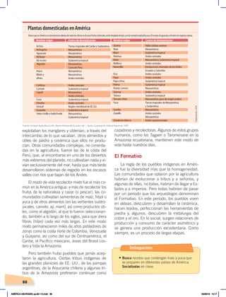 88
explotaban los manglares y obtenían, a través del
intercambio de lo que sacaban, otros alimentos y
útiles de piedra y cerámica que ellos no produ-
cían. Otras comunidades complejas, no cimenta-
das en la agricultura, fueron las de la costa del
Perú, que, al encontrarse en uno de los desiertos
más extremos del planeta, no cultivaban nada y vi-
vían exclusivamente del mar, hasta que más tarde
desarrollaron sistemas de regadío en los escasos
valles con ríos que bajan de los Andes.
El modo de vida recolector mixto fue el más co-
mún en la América antigua: a más de recolectar los
frutos de la naturaleza y cazar (o pescar), las co-
munidades cultivaban sementeras de maíz, fréjol o
yuca y de otros alimentos (en las vertientes subtro-
picales, camote, ají, maní), así como productos úti-
les, como el algodón, al que lo fueron seleccionan-
do, también a lo largo de los siglos, para que diera
fibras (hilas) cada vez más largas. En este modo
mixto permanecieron miles de años pobladores de
zonas como la costa norte de Colombia, Venezuela
y Guayana, así como del sur de Centroamérica, el
Caribe, el Pacífico mexicano, áreas del Brasil cos-
tero y toda la Amazonía.
Pero también hubo pueblos que jamás acep-
taron la agricultura. Ciertas tribus indígenas de
las grandes planicies de EE. UU., de las pampas
argentinas, de la Araucanía chilena y algunas tri-
bus de la Amazonía prefirieron continuar como
cazadoras y recolectoras. Algunos de estos grupos
humanos, como los Tagaeri o Taromenane en la
Amazonía ecuatoriana, mantienen este modo de
vida hasta nuestros días.
El Formativo
La regla de los pueblos indígenas en Améri-
ca fue la diversidad más que la homogeneidad.
Las comunidades que optaron por la agricultura
habrían de evolucionar a tribus y a señoríos, y
algunas de ellas, no todas, habrían de llegar a Es-
tados y a imperios. Pero todas habrían de pasar
por un período que los arqueólogos denominan
el Formativo. En este período, los pueblos viven
en aldeas, descubren y desarrollan la cerámica,
hacen tejidos, perfeccionan las herramientas de
piedra y, algunos, descubren la metalurgia del
cobre y el oro. En lo social, surgen relaciones de
producción y consumo de carácter asimétrico y
se genera una producción excedentaria. Como
siempre, es un proceso de largas etapas.
Plantas domesticadas en América
Fuente: Enrique Ayala Mora, edit., Nueva Historia del Ecuador, vol. 1, Quito, Corporación Editora Nacional, 1983.
Indagación
• Busca recetas que contengan maíz y yuca que
se preparen en diferentes países de América.
Socialízalas en clase.
Elaboración:
CEN
AMÉRICA ABORIGEN; pp.82-112.indd 88 05/06/18 10:17
 