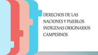 DERECHOS DE LAS
NACIONES Y PUEBLOS
INDÍGENAS ORIGINARIOS
CAMPESINOS
 
