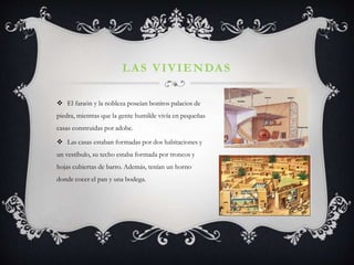LAS VIVIENDAS
 El faraón y la nobleza poseían bonitos palacios de
piedra, mientras que la gente humilde vivía en pequeñas
casas construidas por adobe.
 Las casas estaban formadas por dos habitaciones y
un vestíbulo, su techo estaba formada por troncos y
hojas cubiertas de barro. Además, tenían un horno
donde cocer el pan y una bodega.
 