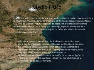 Medio Físico
Fauna…
El territorio valenciano presenta una gran biodiversidad, la cual es mayor entorno a
la Albufera de Valencia, donde se encuentra el "Centro de recuperación de fauna
La Granja de El Saler". Algunas especies de peces con presencia en el término
municipal de Valencia son el fartet y el samarugo, especies endémicas de la
Comunidad Valenciana, así como la anguila, el mújol y la lubina, de especial
importancia económica.
Vegetación…
Valencia se encuentra en el piso bioclimático termomediterráneo,
por lo que su vegetación clímax es el bosque mediterráneo, mientras
que la maquia se da en aquellas zonas donde ha desaparecido la
vegetación arbórea. Con motivo de la antropización del medio, en la
mayor parte del término municipal predominan las
especies vegetales nitrófilas, con la excepción de las que se dan en el
entorno de los humedales costeros (Albufera y marjal de Rafalell y
Vistabella) y de los cauces fluviales.
 