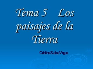 Tema 5  Los paisajes de la Tierra Cristina Salas Vegue  