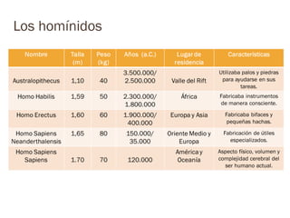Los homínidos
 