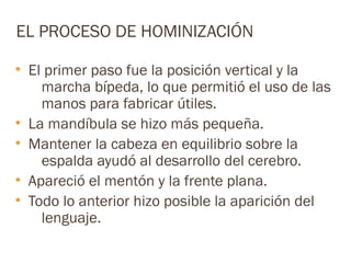 EL PROCESO DE HOMINIZACIÓN
●
    El primer paso fue la posición vertical y la
      marcha bípeda, lo que permitió el uso de las
      manos para fabricar útiles.
●
    La mandíbula se hizo más pequeña.
●
    Mantener la cabeza en equilibrio sobre la
      espalda ayudó al desarrollo del cerebro.
●
    Apareció el mentón y la frente plana.
●
    Todo lo anterior hizo posible la aparición del
      lenguaje.
 