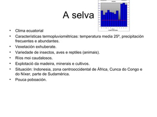 A selva Clima ecuatorial Características termopluviométricas: temperatura media 25º, precipitación frecuentes e abundantes. Vexetación exhuberate. Variedade de insectos, aves e reptiles (animais). Ríos moi caudalosos. Explotació da madeira, minerais e cultivos. Situación: Indonesia, zona centrooccidental de África, Cunca do Congo e do Níxer, parte de Sudamérica. Pouca poboación. 