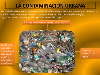 LA CONTAMINACIÓN URBANA
Las ciudades son enormes aglomeraciones de población que necesitan de una gran cantidad de
suministros externos para funcionar correctamente.(Aporte constante de energía,
 agua, alimentos ,materias primas y productos de todo tipo.
                    Son un foco de contaminación atmosférica.




Contaminan
las aguas
con residuos                                                              Producen
orgánicos y                                                               toneladas de
vertidos                                                                  basura
industriales
y agrícolas.
 
