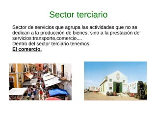 Sector terciario
Sector de servicios que agrupa las actividades que no se
dedican a la producción de bienes, sino a la prestación de
servicios:transporte,comercio....
Dentro del sector terciario tenemos:
El comercio.
 