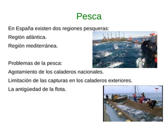 Pesca
En España existen dos regiones pesqueras:
Región atlántica.
Región mediterránea.
Problemas de la pesca:
Agotamiento de los caladeros nacionales.
Limitación de las capturas en los caladeros exteriores.
La antigüedad de la flota.
 
