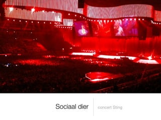 Sociaal dier   concert Sting
 