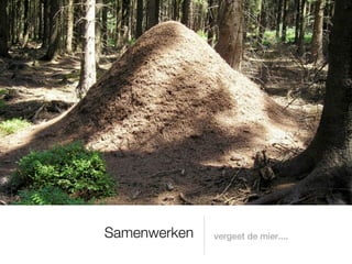 Samenwerken   vergeet de mier....
 