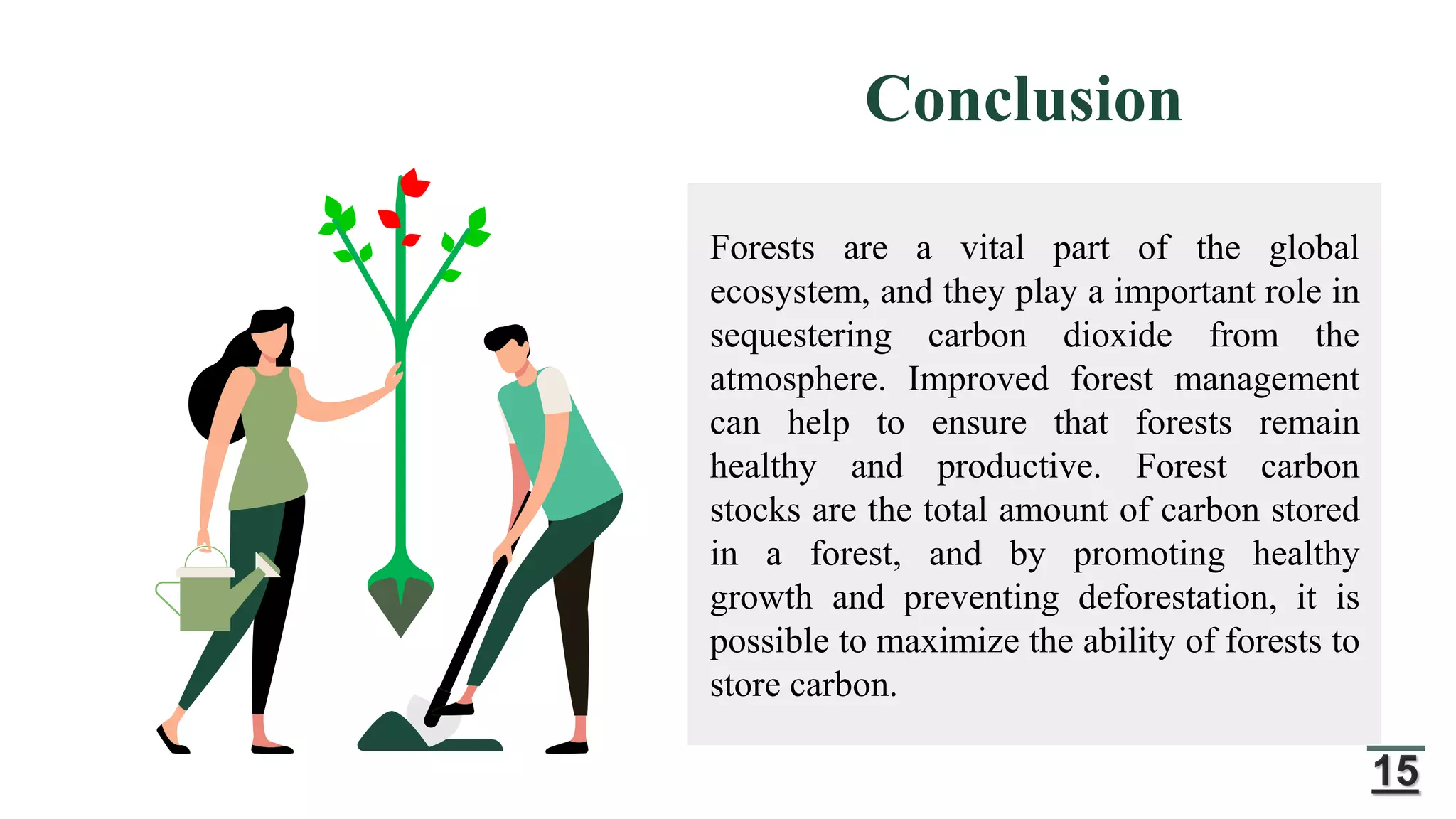 Forestry Development Projects in Bangladesh | PPTX | Agriculture ...