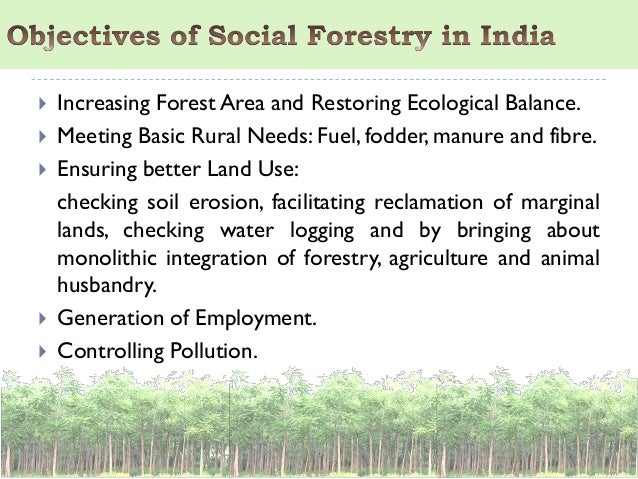 Social Forestry in India