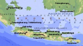 Social forest transforestation in java | PPTX