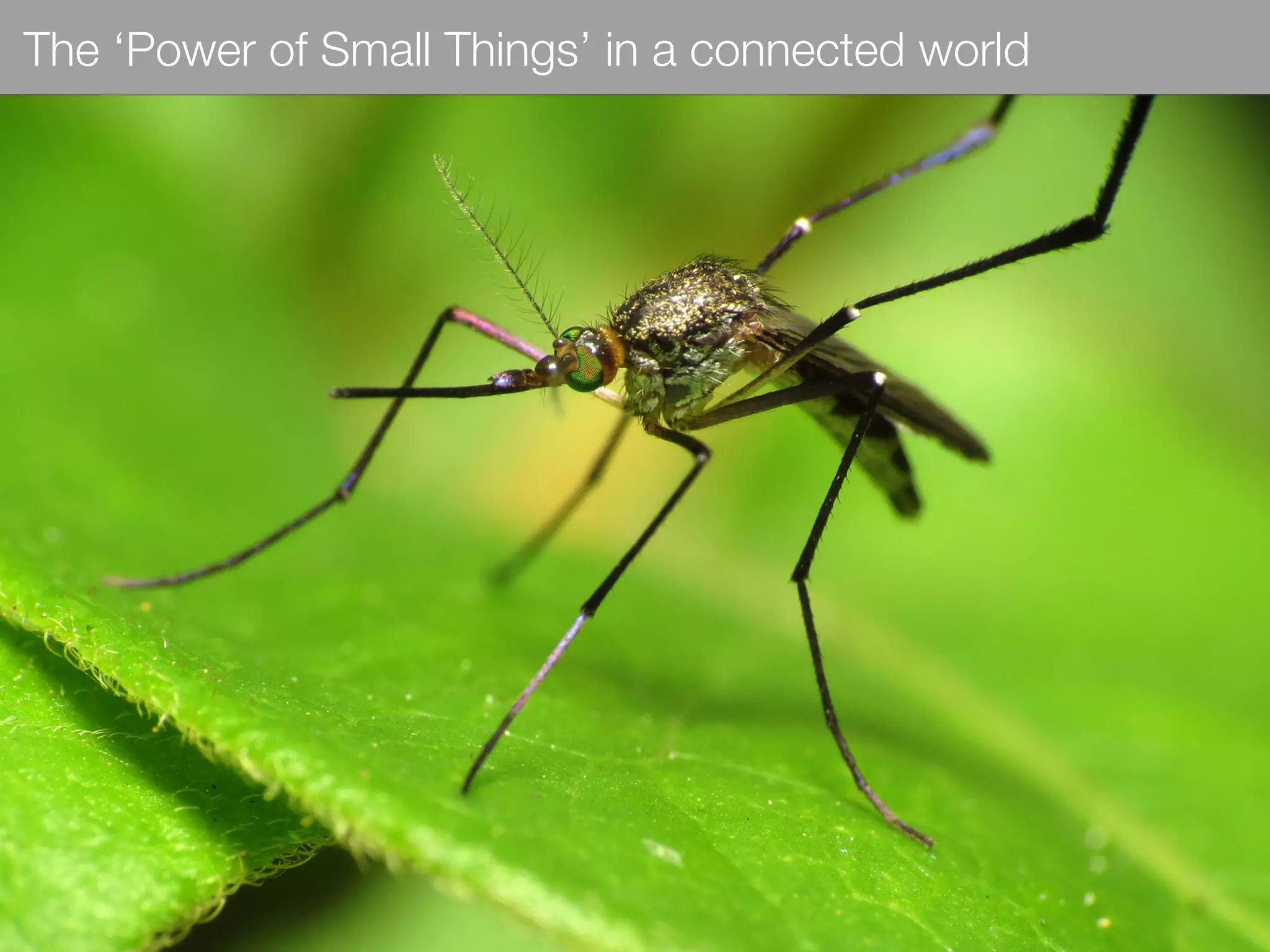 The ‘Power of Small Things’ in a connected world
 