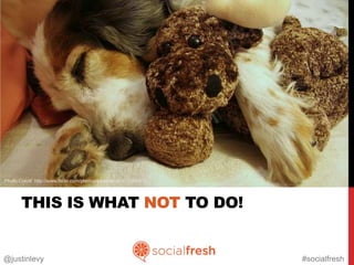 Photo Credit: http://www.flickr.com/photos/edastrauch/471029832




       THIS IS WHAT NOT TO DO!


@justinlevy                                                       #socialfresh
 