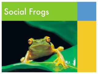 Social Frogs
 