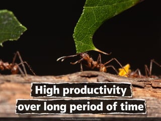 High productivity
over long period of time
http://www.flickr.com/photos/stephenbegin
 